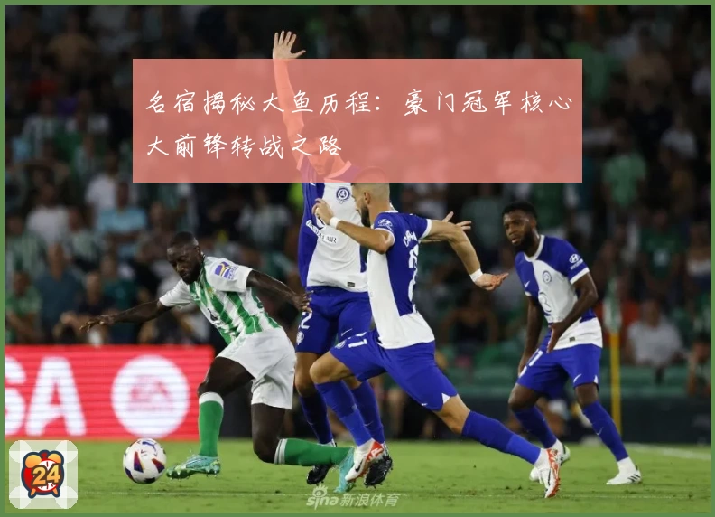 名宿揭秘大鱼历程：豪门冠军核心大前锋转战之路